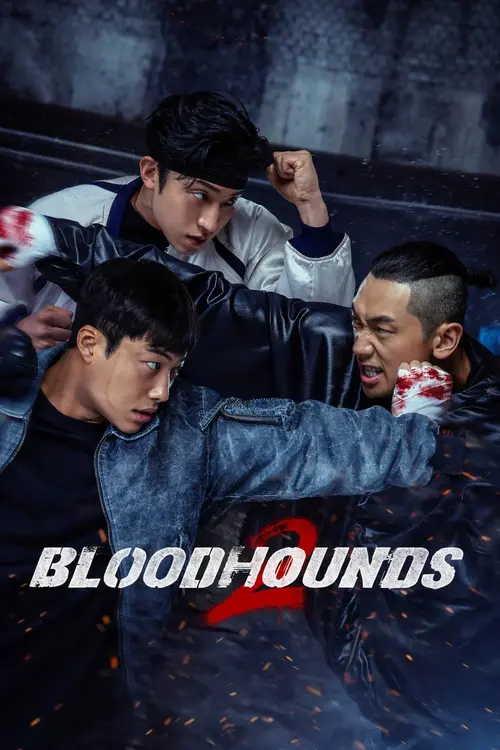 Download Bloodhounds (Season 1 – 2) Multi Audio {Hindi English Korean} NetFlix Series 480p | 720p | 1080p WEB DL 12 bloodhounds season 1