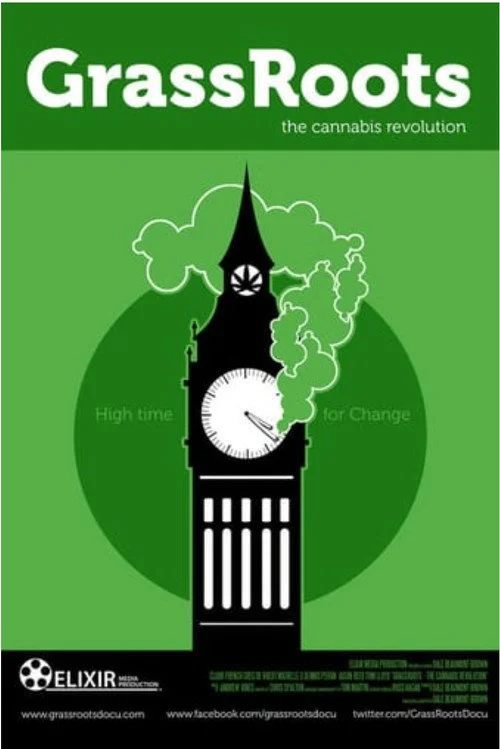 Download Cannabis (2016) Season 1 Hindi Complete MX Original WEB Series 480p | 720p HDRip 20 cannabis 2016