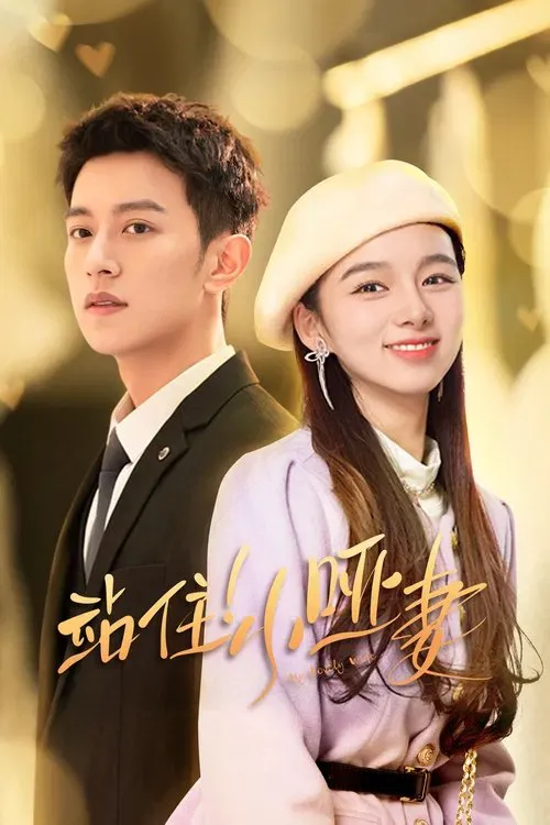 Download My Lovely Wife (Season 1) Hindi ORG Dubbed C Drama Series 480p 720p & 1080p WEB DL 9 my lovely wife season 1