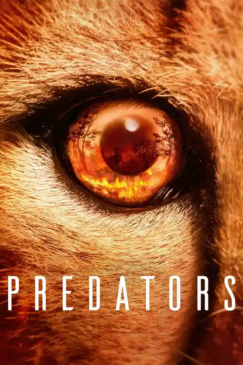 Download Predators β Netflix Original (2023) Season 1 Complete Dual Audio {Hindi English} 720P | 1080P WEB DL 6 predators netflix original 2023